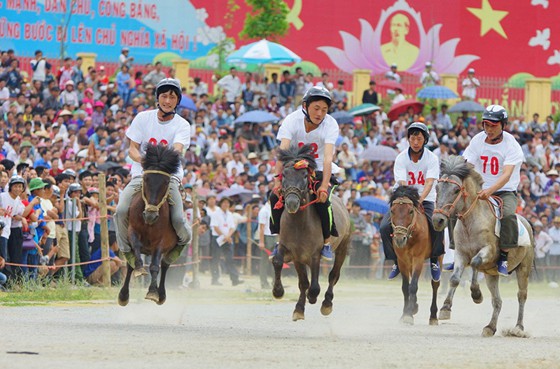Festival 