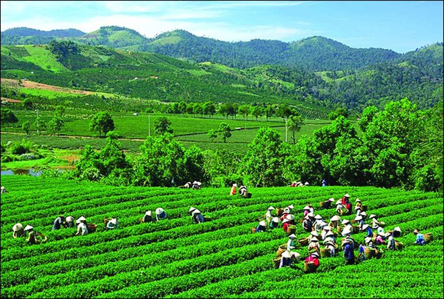 Du lịch Thái Nguyên hướng đến phát triển bền vững