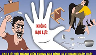 Triển khai Quy chế phối hợp liên ngành về phòng, chống bạo lực gia đình