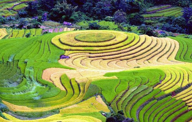 Giao lưu văn hóa và thúc đẩy du lịch Việt Nam tại Israel