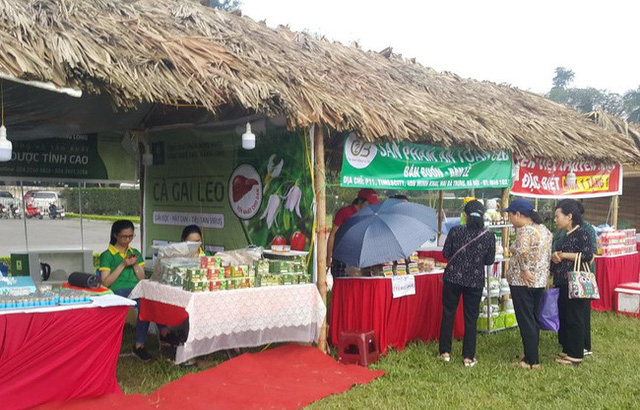 Xử lý nghiêm các hành vi vi phạm tại “Festival văn hóa truyền thống Việt 2019”