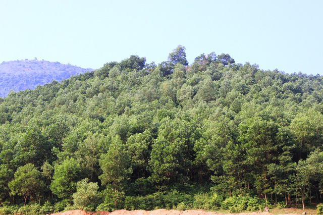 Phê duyệt nhiệm vụ Quy hoạch bảo tồn, tôn tạo di tích lịch sử - văn hóa Địa điểm Hội thề Lũng Nhai