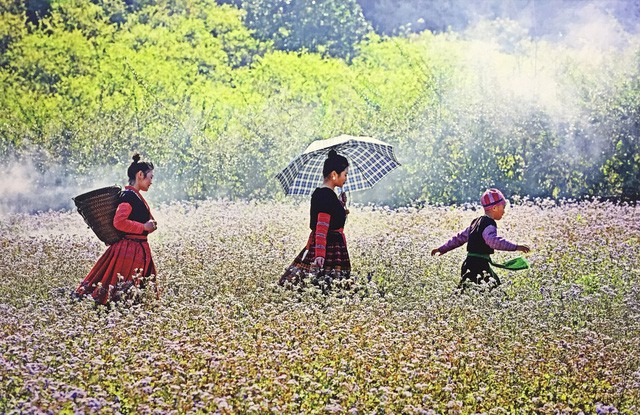 Khai mạc Triển lãm 