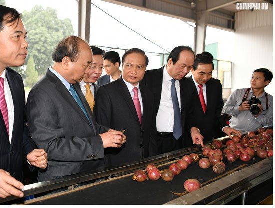 Thủ tướng Nguyễn Xuân Phúc: “Đồng Giao phải áp dụng công nghệ IoT để có nông nghiệp hiện đại”