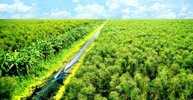 Cà Mau: Đẩy mạnh công tác hỗ trợ, phát triển du lịch